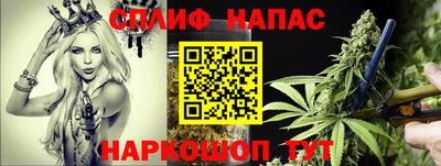 прущие крисы Обь