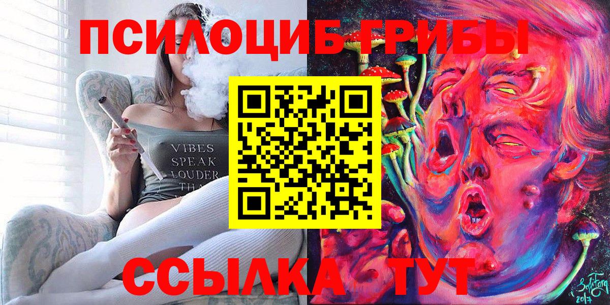 Псилоцибиновые грибы Cubensis  Вход с VPN  Псилоцибиновые грибы мухоморы  Тайшет 